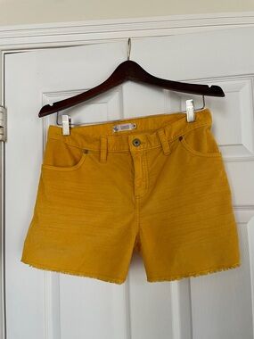 Carve Designs, Dogtown 4"  Shorts, size 10